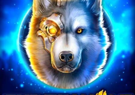 Cyber Wolf: hodnocení a recenze