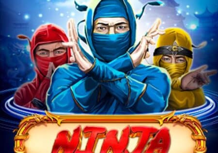 Ninja: hodnocení a recenze