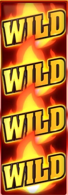 hell hot 100 wild