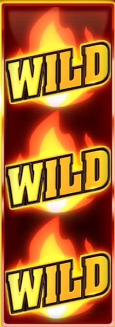 hell hot 20 wild symbol