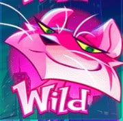 pinky cat wild symbol